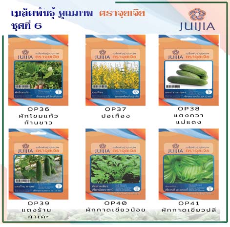 ผักซอง จุยเจีย ชุดที่ 6