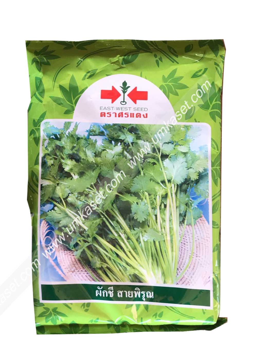 ผักชีฝอย สายพิรุณ ศรแดง ศรแดง 300 กรัม