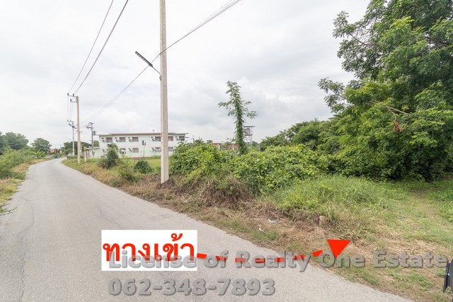 ขายที่ดินเปล่า ติดถนนลาดยาง ใกล้วัดไชยสงคราม ต.บ้านแห อ.เมือง จ.อ่างทอง