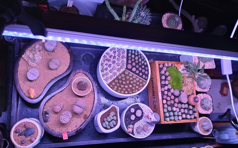 หลอดไฟปลูกต้นไม้ LED T8 35W ยาว 90CM 144 LED Grow Light AC 220V