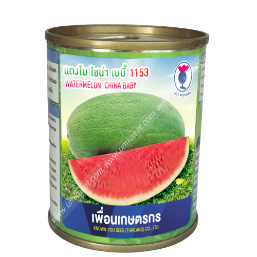 แตงโม ไชน่า เบบี้ 1153