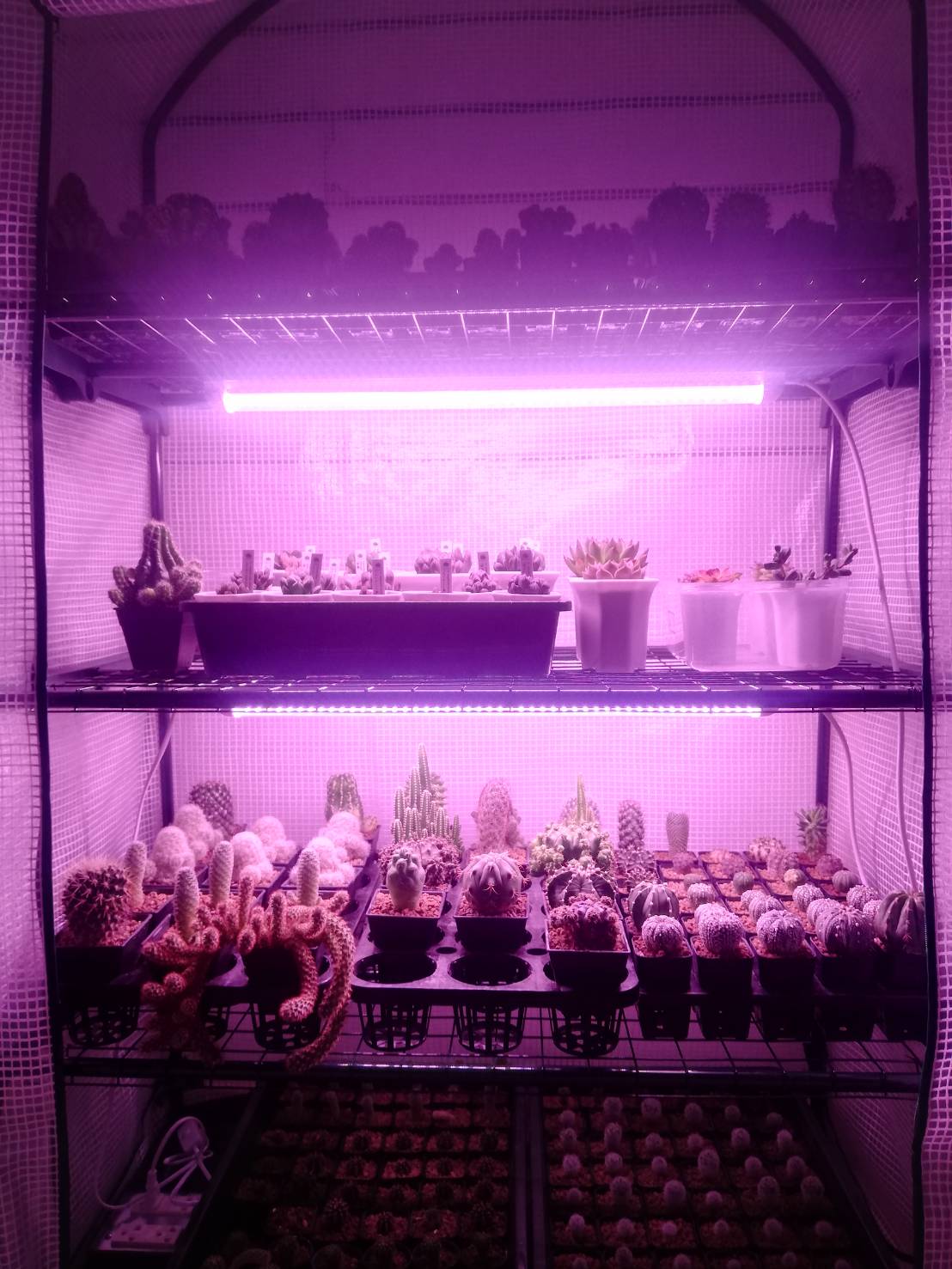 หลอดไฟปลูกต้นไม้ T20 35W ยาว 60CM LED Grow Light AC 220V หลอดใหญ่