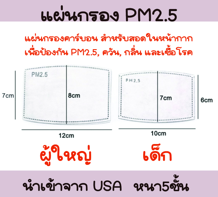 แผ่นกรอง N95 PM2.5 สำหรับเด็ก สำหรับหน้ากากอนามัย 5ชั้น ห่อ 10ชิ้น