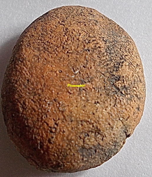 พระกรุเนื้อดินศรีวิชัย พิมพ์ท้าวกุเวร เจ้าแห่งทรัพย์ พระกรุเมืองใต้