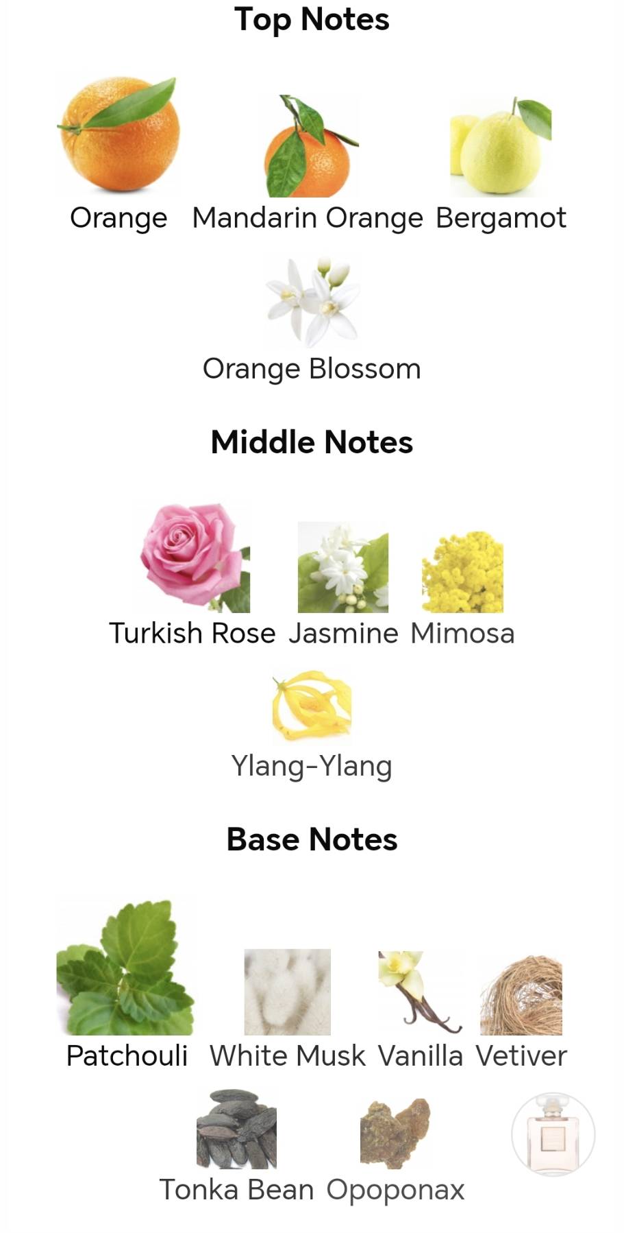 น้ำหอมแท้แบ่งขาย Chanel Coco Mademoiselle EDP 💕Travel Size แบบทดลอง