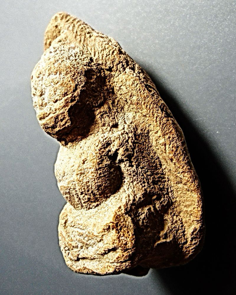 พระถ้ำเสือ เนื้อดิน กรุเขาดีสลัก สุพรรณบุรี พิมพ์ใหญ่