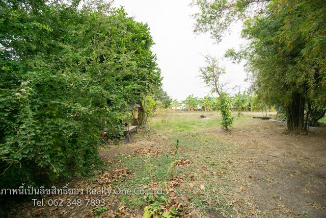 ให้เช่า ที่ดิน พร้อม บ้าน ร้านค้า ทำเลสวย สามชุก สุพรรณบุรี