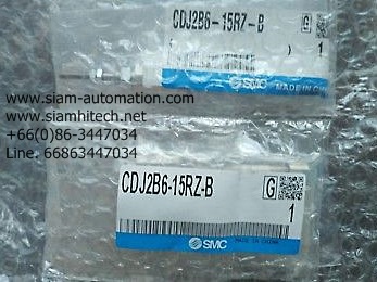 SMC CDJ2B6-15RZ-B CYLINDER (New)