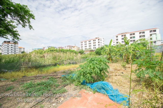 ขาย ที่ดิน สร้างบ้าน หอพัก ซ.วัดคานหาม อ.อุทัย จ.อยุธยา ( คานหาม ซ.5)