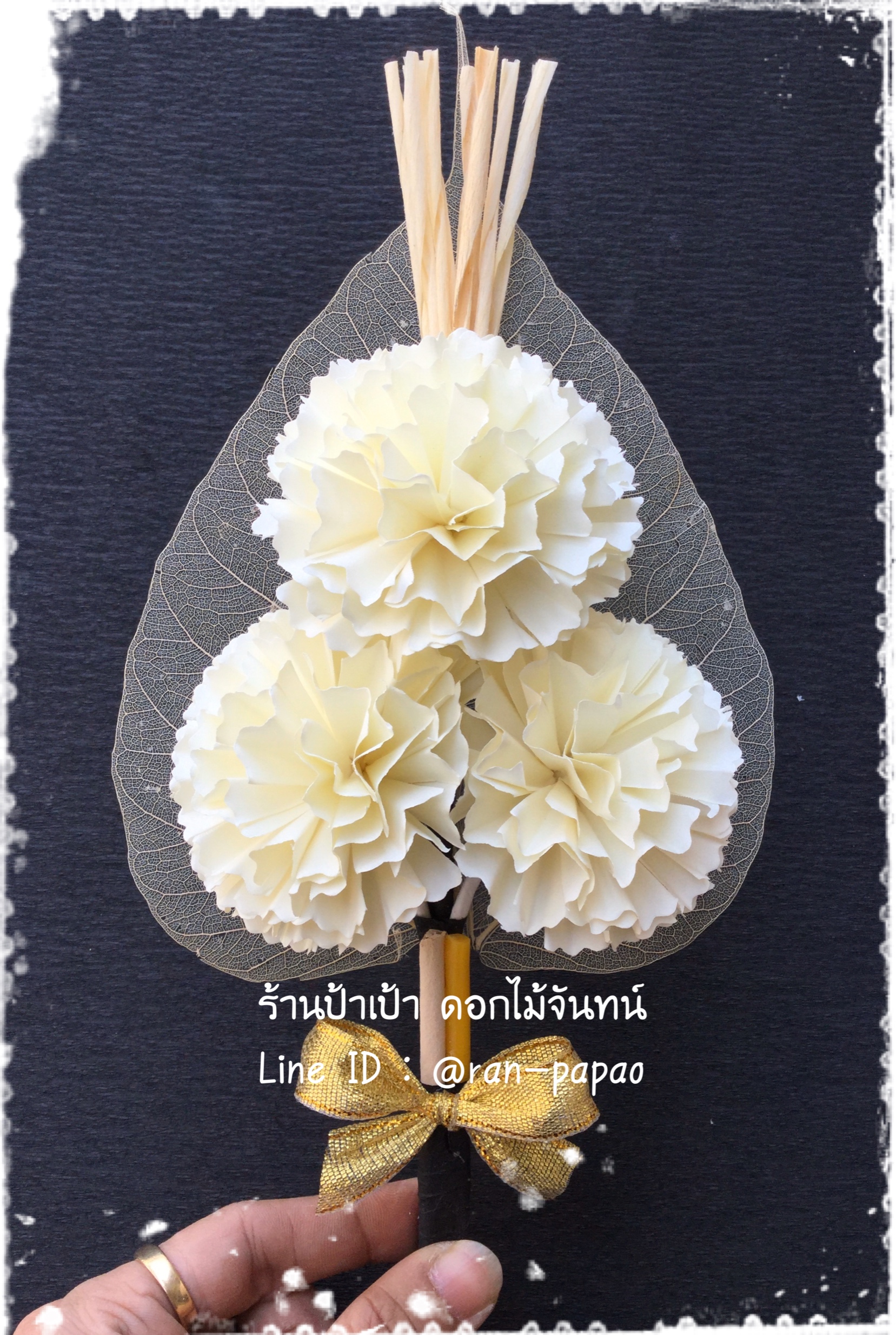 คาร์เนชั่นC 3 ดอก มี 6 สี