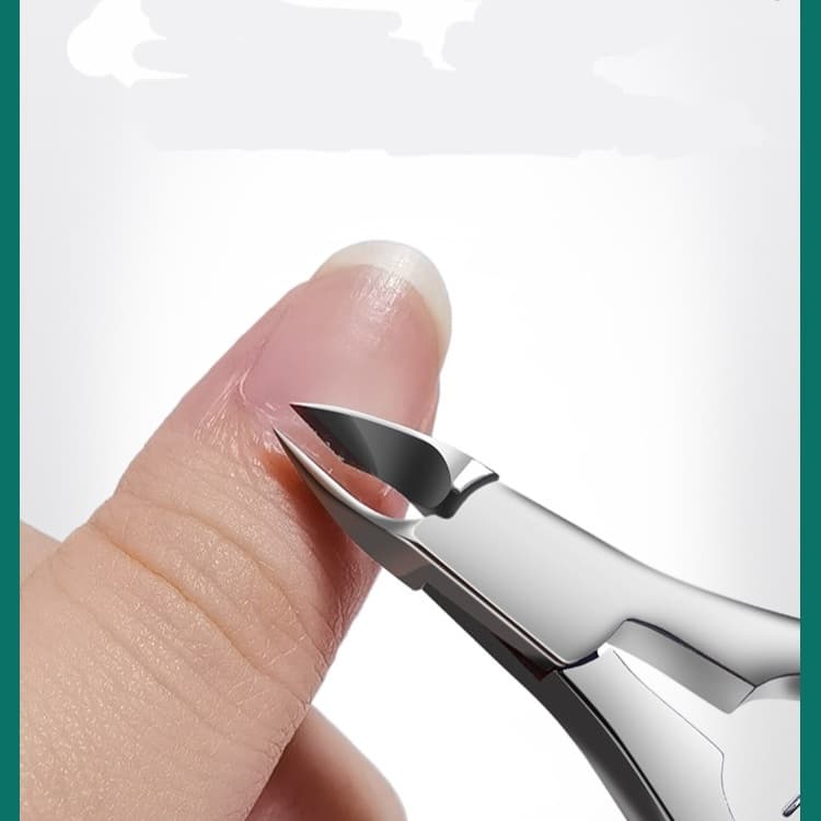 กรรไกรตัดหนัง ตัดเล็บขบ กรรไกรตัดหนังสแตนเลส DINGXI ของแท้100%