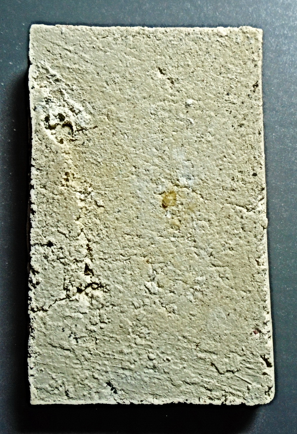 สมเด็จวัดระฆังพิมพ์พุทธประวัติ ทรงบำเพ็ญทุกรกิริยา