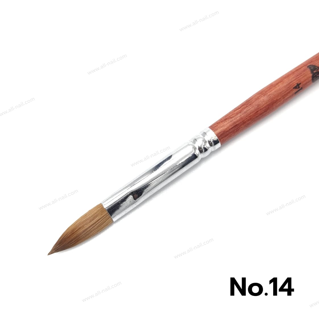 พู่กันต่ออะคริลิค ขนแน่น คุณภาพอย่างดี เบอร์6,8,14,16