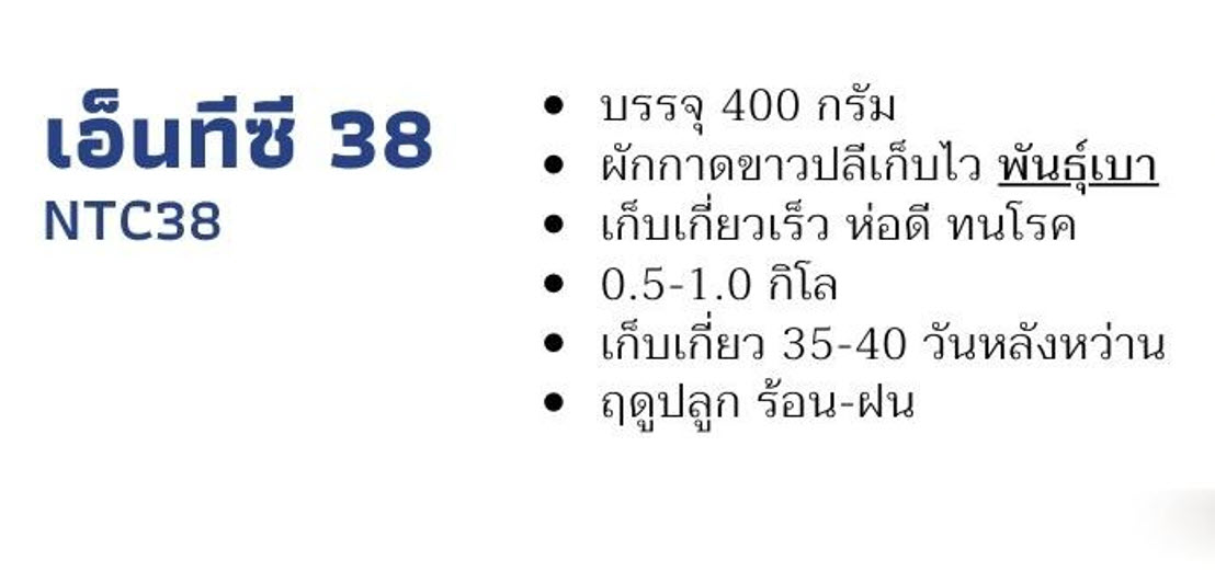 ผักกาดขาว เอ็นทีซี38 400 กรัม
