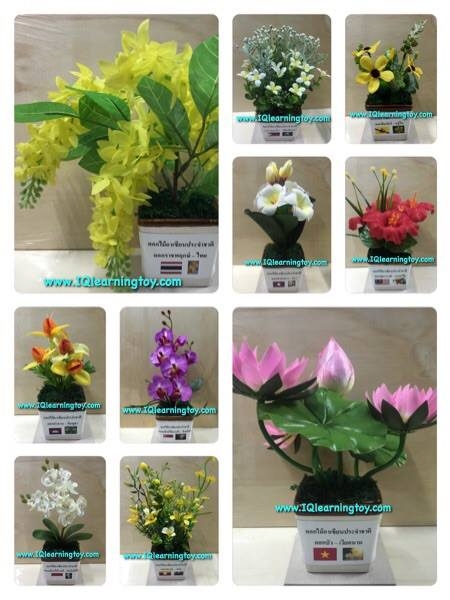 ชุดดอกไม้ประจำชาติอาเซ๊ยน 10 ประเทศ 10 ชนิด ดอกไม้แต่ละชนิดมีเอกลักษณ์ที่สำคัญของแต่ละประเทศ ส่งฟรี