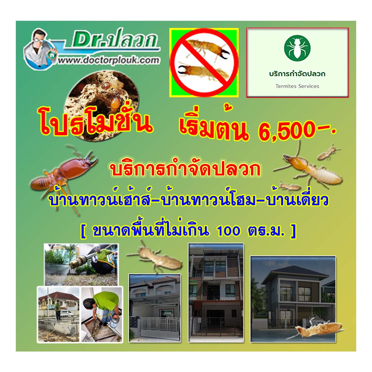 Dr.ปลวก [บริการกำจัดปลวก] บ้านทาวน์เฮ้าส์-บ้านทาวน์โฮม-บ้านเดี่ยว (ขนาดพื้นที่ไม่เกิน 100 ตร.ม.)
