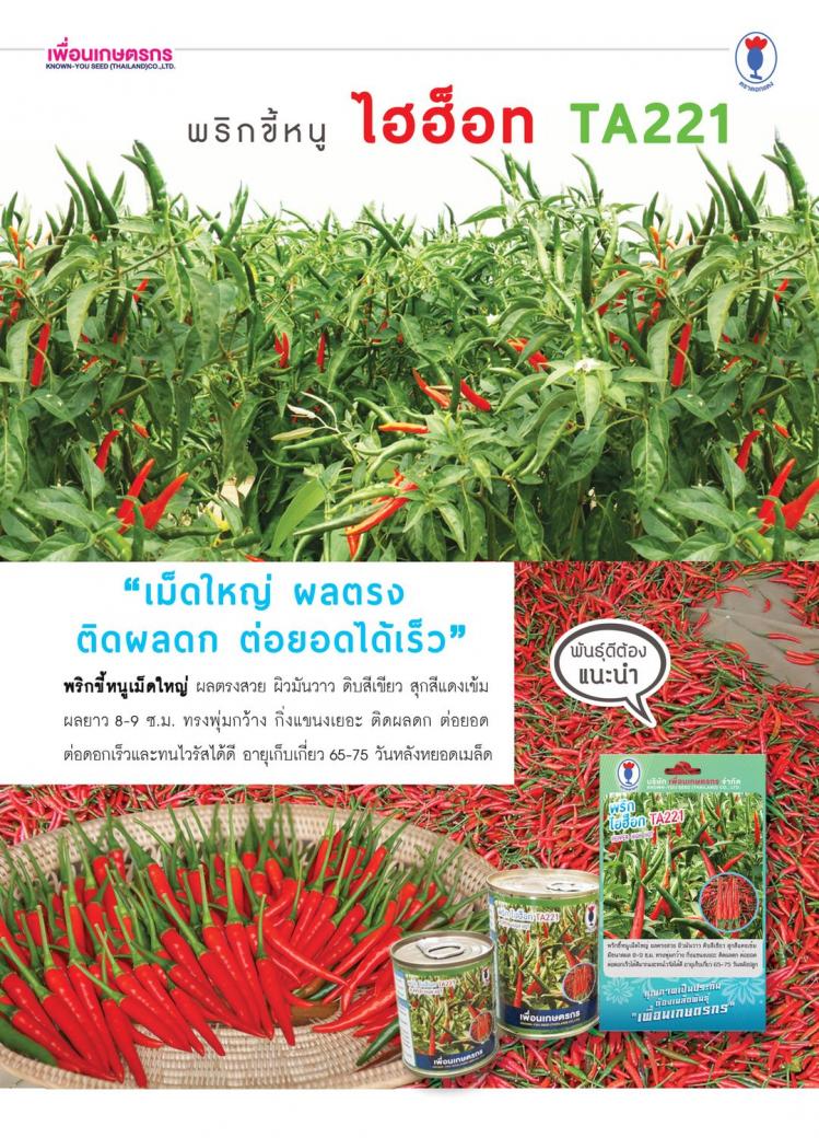 พริกขี้หนู ไฮฮ็อท TA221 เพื่อนเกษตรกร