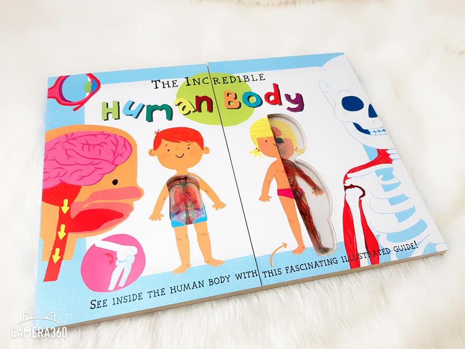 The Incredible Human Body