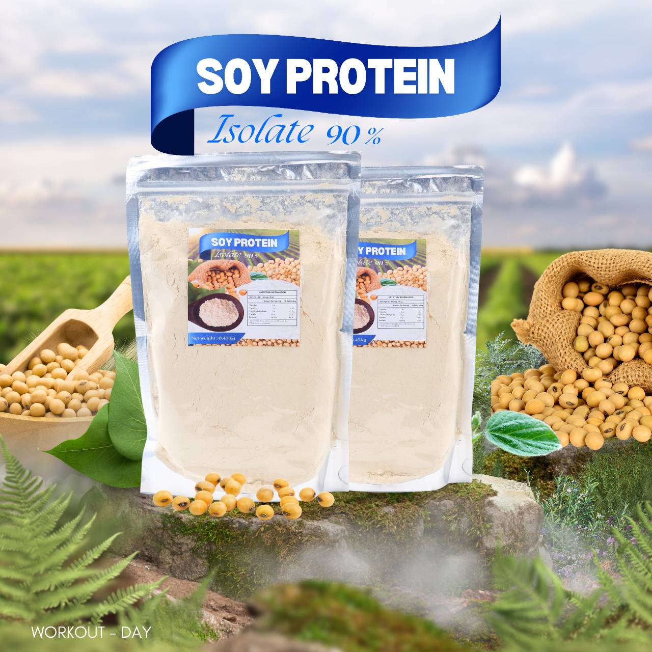 ซอยโปรตีน SoyProtein Isolate 90 ขนาด 450 กรัม