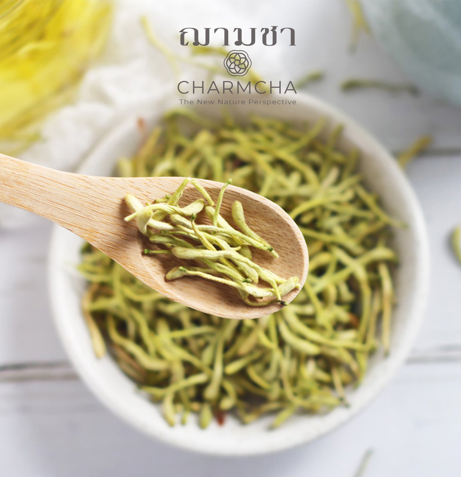 ชาดอกสายน้ำผึ้ง(Honeysuckle Flower Tea)