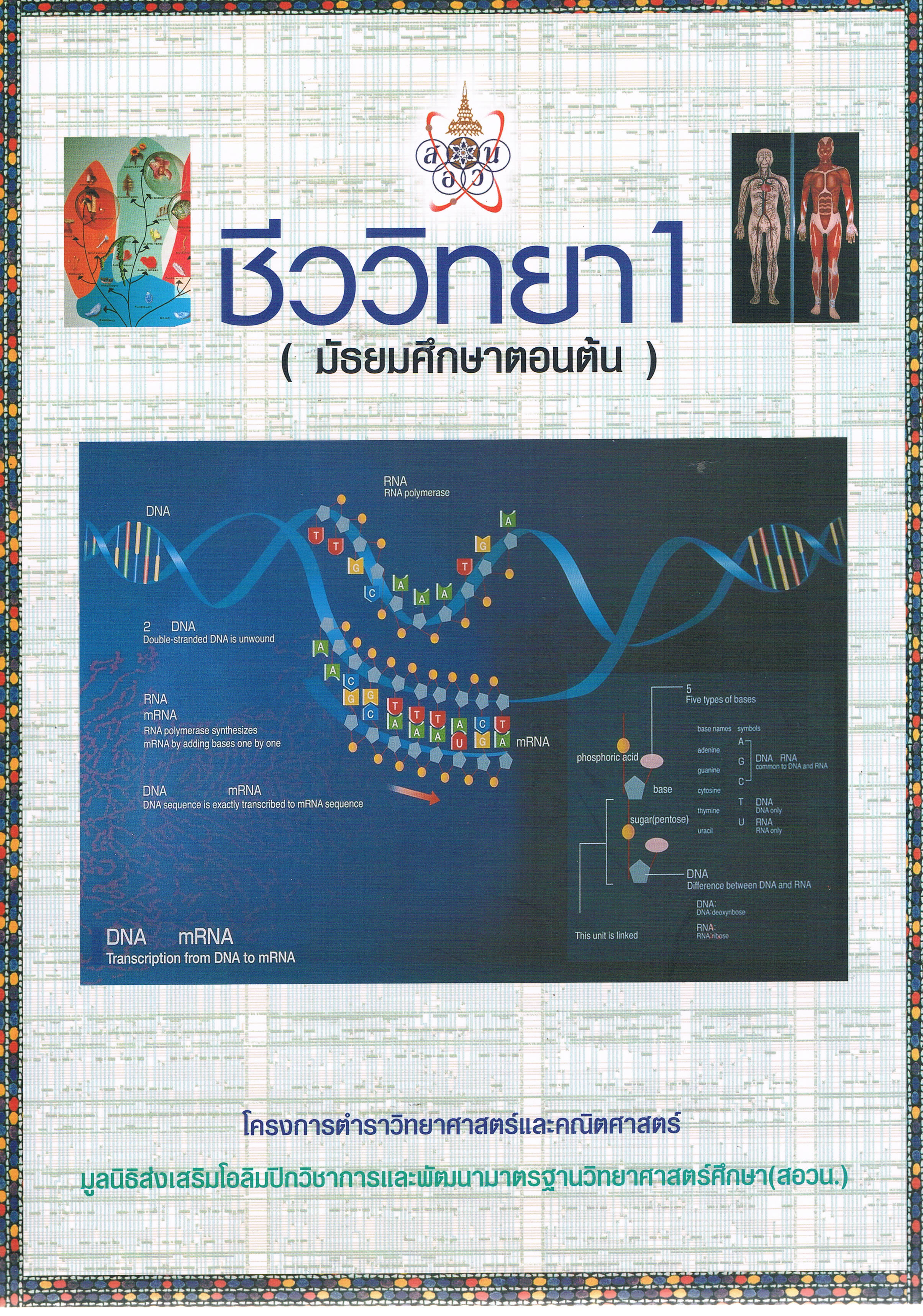 ชีววิทยาม.ต้น