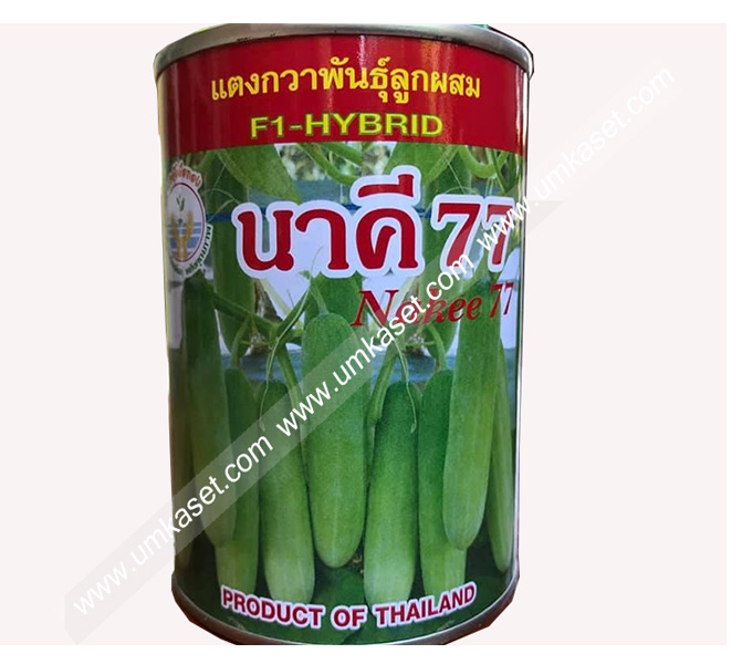 แตงกวานาคี 77