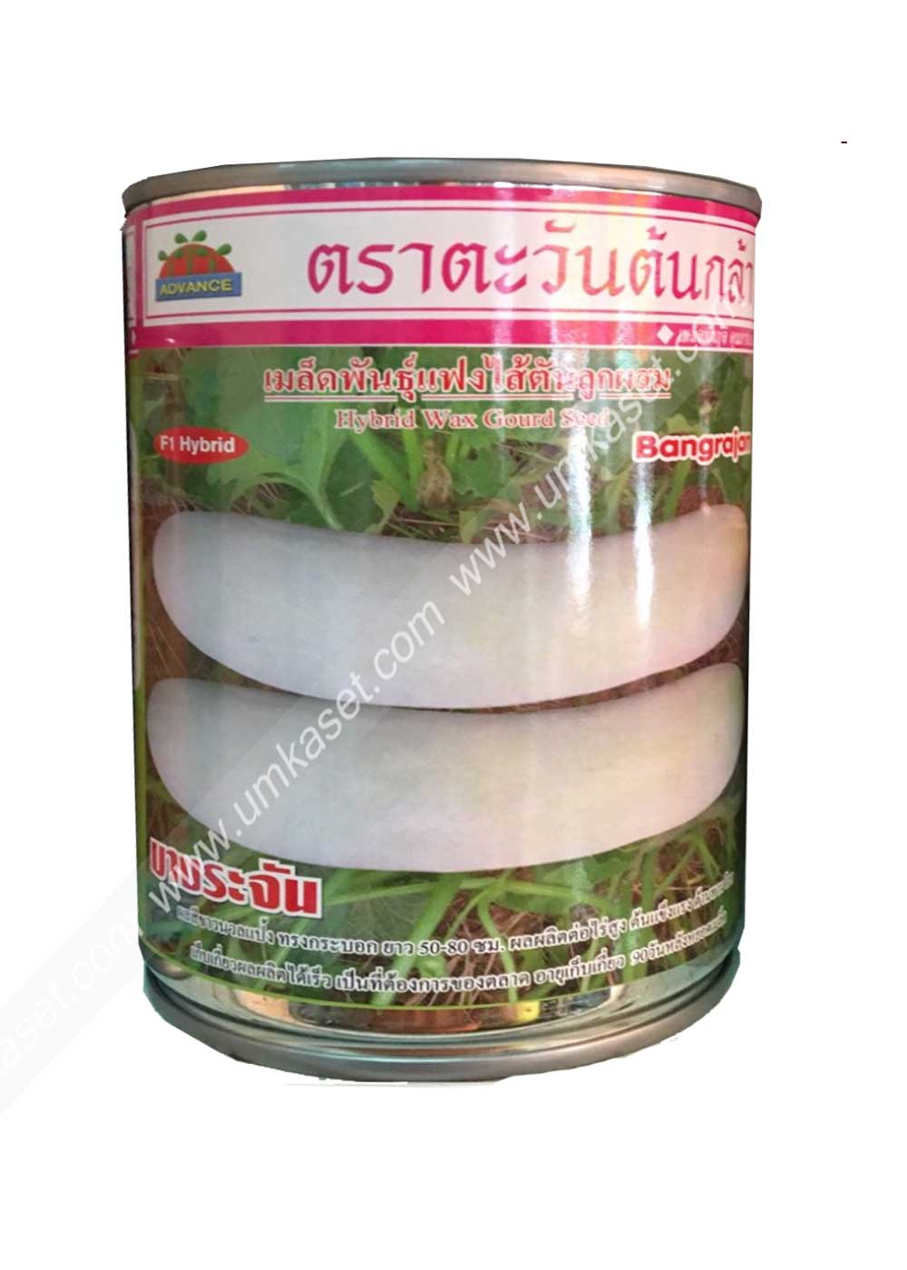 แฟงลูกผสม บางระจัน ตะวันต้นกล้า 100 กรัม