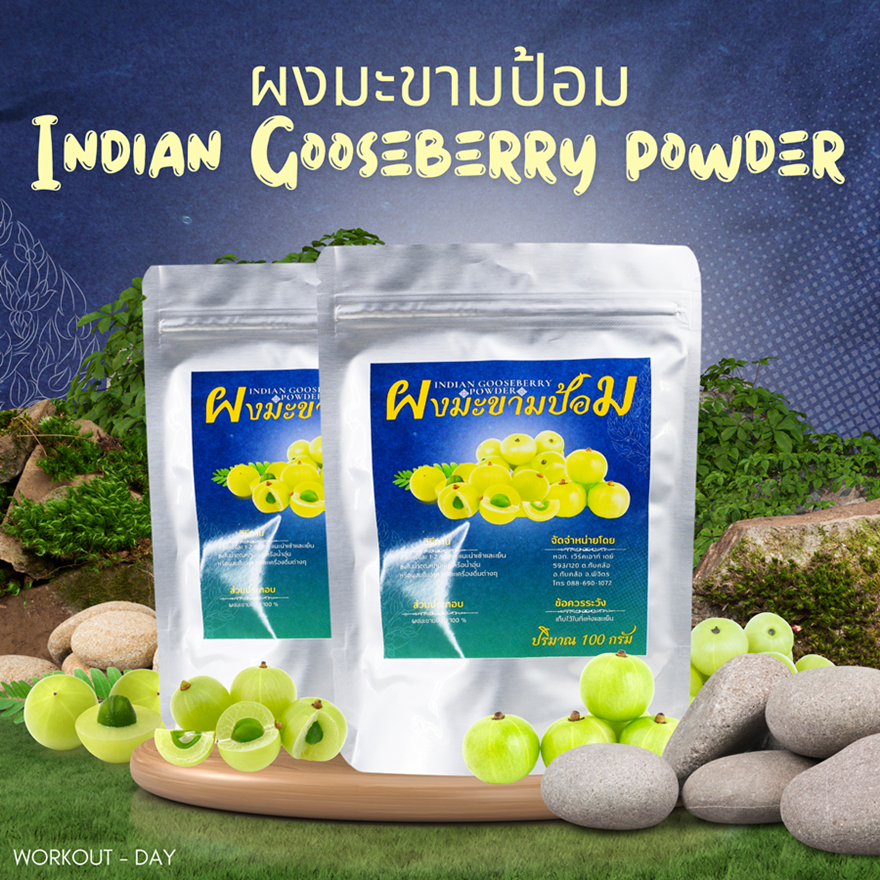 ผงมะขามป้อม Indian Gooseberry Powder