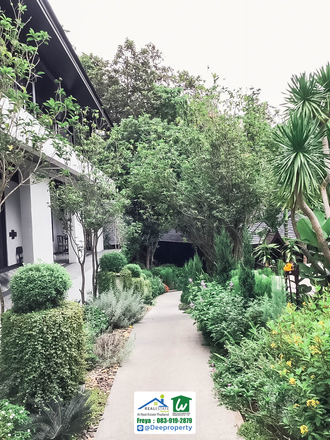 🏡 ขายรีสอร์ทหรูเพื่อสุขภาพ Perana Wellness Resort เชียงใหม่ ⛰️ พร้อมดำเนินกิจการต่อได้ทันที! คืนทุนเร็ว✨