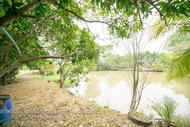 ให้เช่า ที่ดิน พร้อม บ้าน ร้านค้า ทำเลสวย สามชุก สุพรรณบุรี