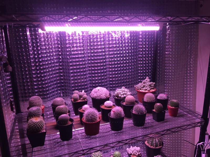 หลอดไฟปลูกต้นไม้ LED T8 22W ยาว 60CM 96 LED Grow Light AC 220V