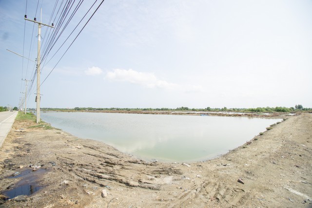 ขาย ที่ดิน นาเกลือ ติดถนนสาย 2020 ต.บ้านบ่อ อ.เมือง สมุทรสาคร