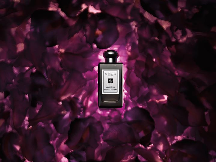 น้ำหอมแท้แบ่งขาย Jo Malone Orris & Sandalwood Intense 💕Travel Size #แบบทดลอง