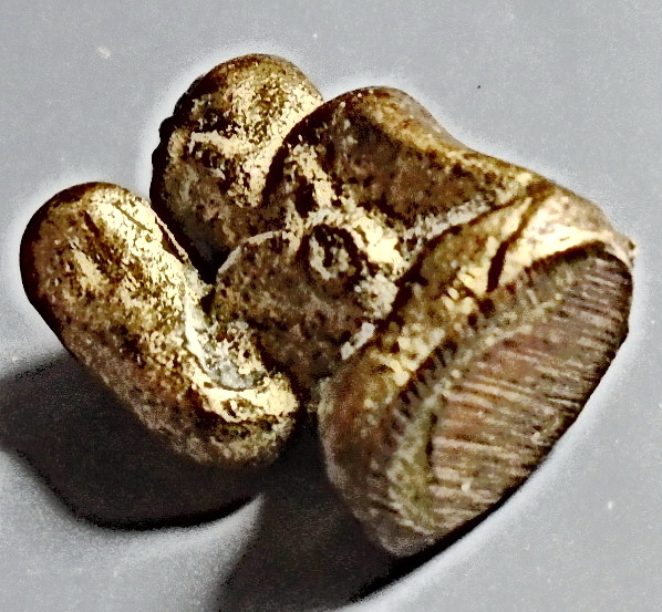 แม่นางกวัก ลพ.อิ่ม วัดหัวเขา สุพรรณบุรี