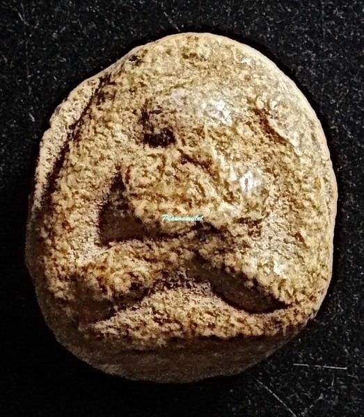 พระปิดตา เนื้อผงน้ำมัน กรุอัมพวา องค์จ้อย