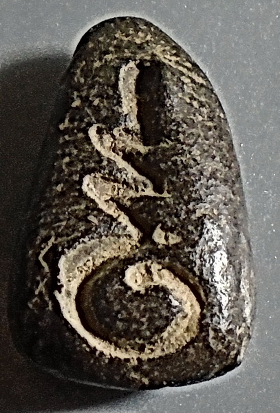 พระเม็ดน้อยหน่า กรุวัดศาลาปูน อยุธยา