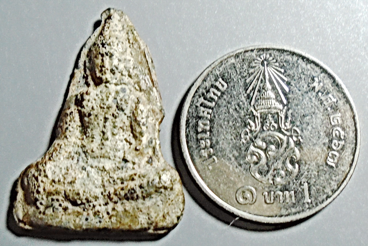 พระกรุ เนื้อชินเงิน พิมพ์นางพญา