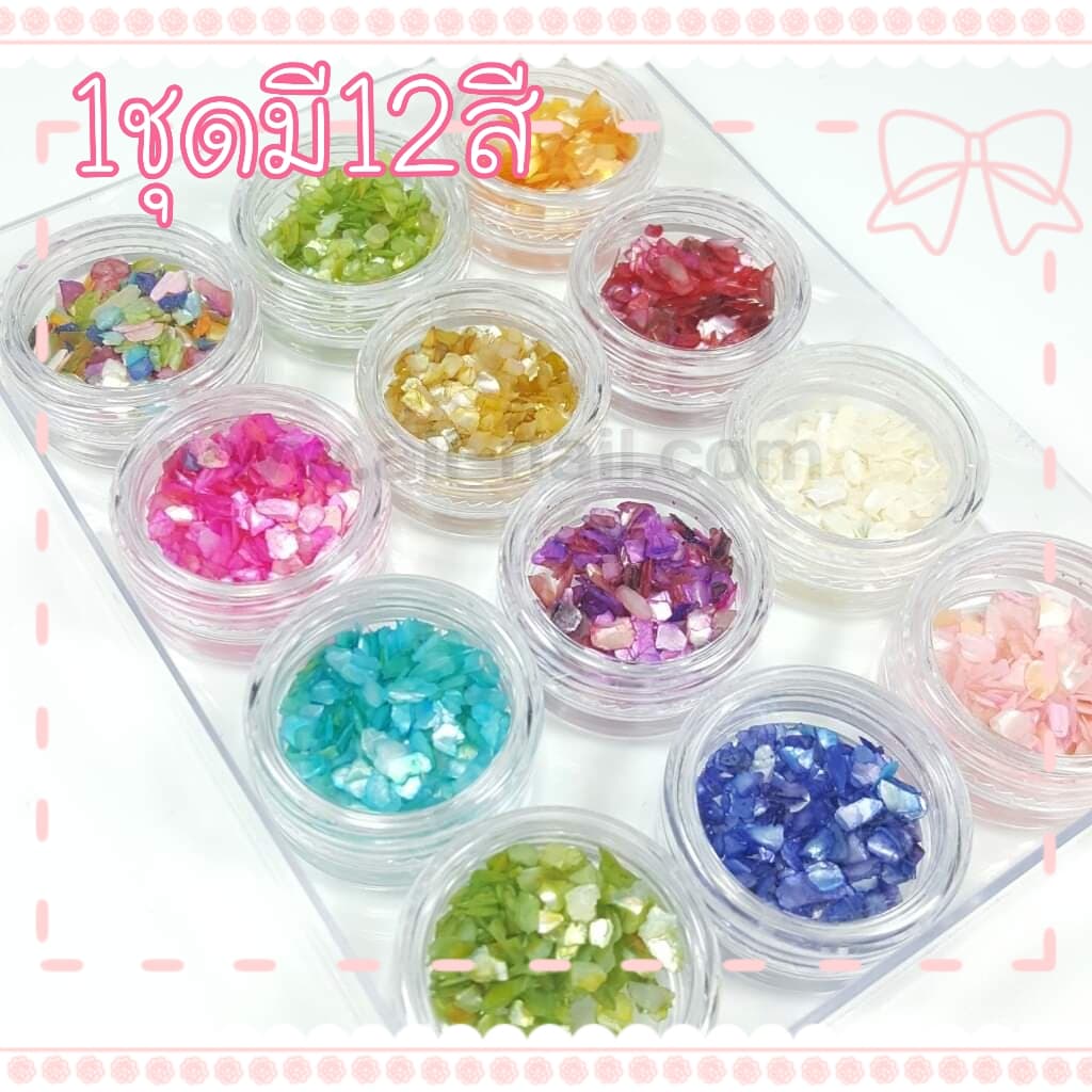 เปลือกหอย #1