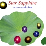 "Star Sapphire" ดวงดาวบนพื้นพิภพ