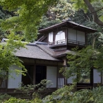 ข้อดี-ข้อเสียของต้นไม้ใหญ่ในบ้าน