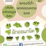 ผัก ผอม ผิว กินผักแล้วผอม ผิวสวย