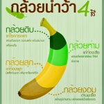 ประโยชน์ กล้วยหลากสี