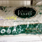 หมอน ventry หมอนสุขภาพ