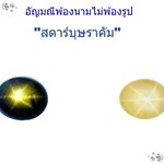 อัญมณีพ้องนามไม่พ้องรูป "สตาร์บุษราคัม"