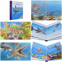 Sharks ชุด My First Discoveries