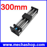 Linear Guide Stage 300mm