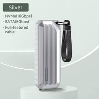 Silver สีเงิน