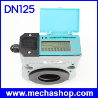DN125