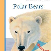 Polar Bear เล่มหนา