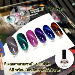 ชุดสีเจล Cat Eye เซ็ตD